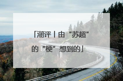 潮评丨由“苏超”的“梗”想到的