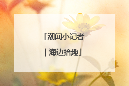 潮闻小记者｜海边拾趣