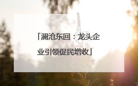 澜沧东回：龙头企业引领促民增收