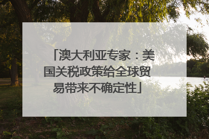 澳大利亚专家：美国关税政策给全球贸易带来不确定性