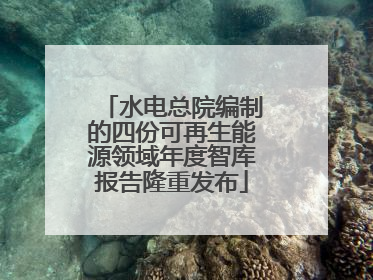 水电总院编制的四份可再生能源领域年度智库报告隆重发布