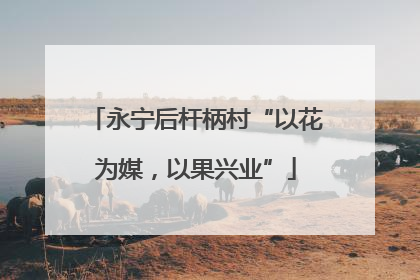 永宁后杆柄村“以花为媒，以果兴业”