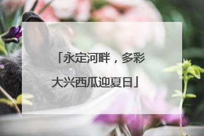 永定河畔，多彩大兴西瓜迎夏日