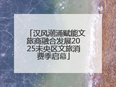 汉风潮涌赋能文旅商融合发展2025未央区文旅消费季启幕