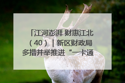 江河澎湃 财惠江北（40）｜新区财政局多措并举推进“一卡通”管理 保障惠民惠农补贴精准高效发放