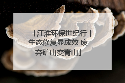 江淮环保世纪行｜生态修复显成效 废弃矿山变青山