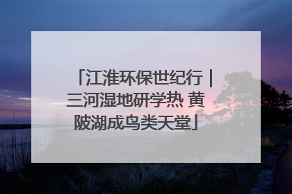 江淮环保世纪行｜三河湿地研学热 黄陂湖成鸟类天堂