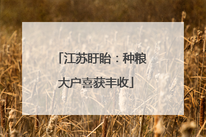 江苏盱眙：种粮大户喜获丰收