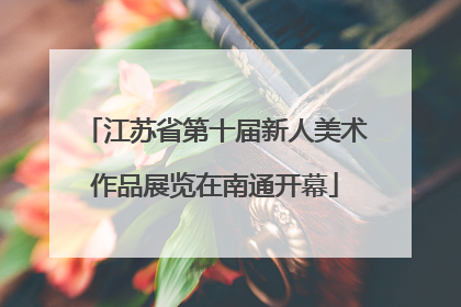 江苏省第十届新人美术作品展览在南通开幕