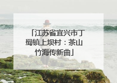 江苏省宜兴市丁蜀镇上坝村：茶山竹海传新曲