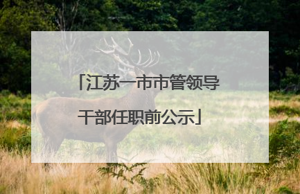 江苏一市市管领导干部任职前公示