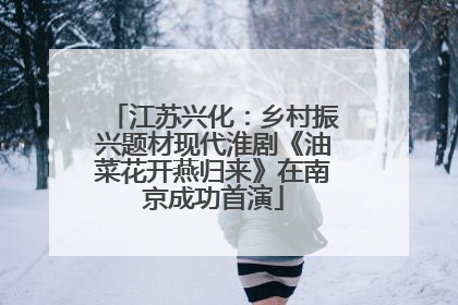 江苏兴化：乡村振兴题材现代淮剧《油菜花开燕归来》在南京成功首演
