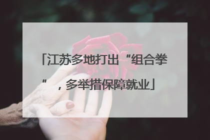 江苏多地打出“组合拳”，多举措保障就业