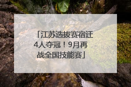 江苏选拔赛宿迁4人夺冠！9月再战全国技能赛