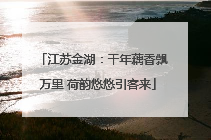 江苏金湖：千年藕香飘万里 荷韵悠悠引客来