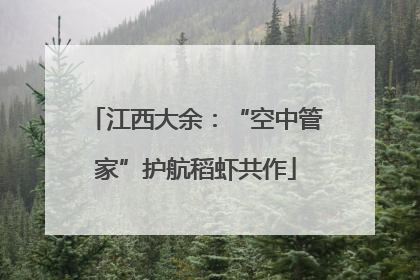 江西大余：“空中管家”护航稻虾共作