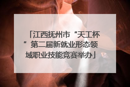 江西抚州市“天工杯”第二届新就业形态领域职业技能竞赛举办