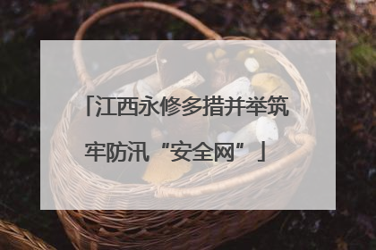 江西永修多措并举筑牢防汛“安全网”