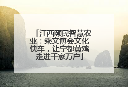 江西颐民智慧农业：乘文博会文化快车，让宁都黄鸡走进千家万户