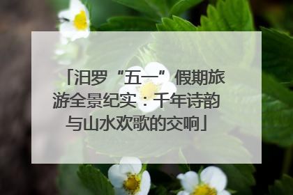 汨罗“五一”假期旅游全景纪实：千年诗韵与山水欢歌的交响