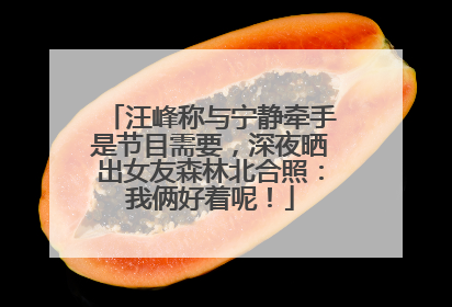 汪峰称与宁静牵手是节目需要，深夜晒出女友森林北合照：我俩好着呢！