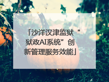 沙洋汉津监狱“狱政AI系统”创新管理服务效能