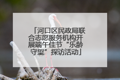 河口区民政局联合志愿服务机构开展端午佳节“乐龄守望”探访活动
