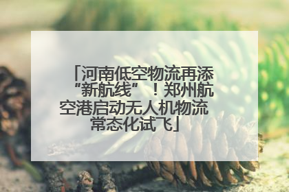 河南低空物流再添“新航线”！郑州航空港启动无人机物流常态化试飞