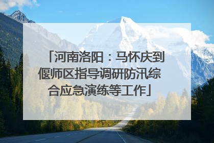 河南洛阳：马怀庆到偃师区指导调研防汛综合应急演练等工作