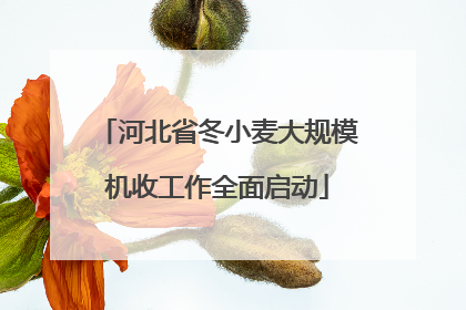 河北省冬小麦大规模机收工作全面启动