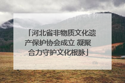 河北省非物质文化遗产保护协会成立 凝聚合力守护文化根脉