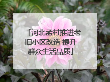 河北孟村推进老旧小区改造 提升群众生活品质