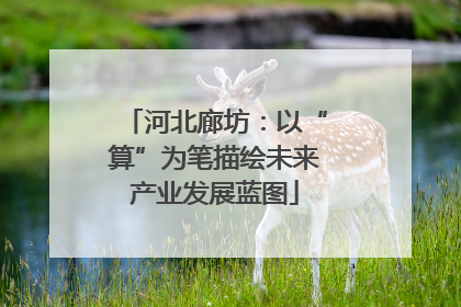河北廊坊：以“算”为笔描绘未来产业发展蓝图