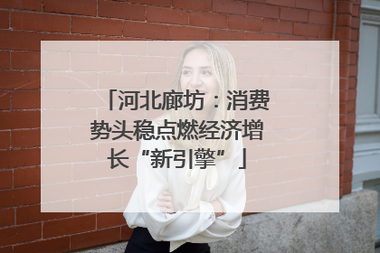 河北廊坊：消费势头稳点燃经济增长“新引擎”