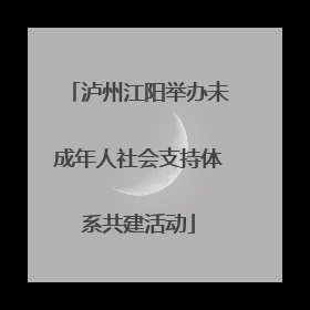 泸州江阳举办未成年人社会支持体系共建活动