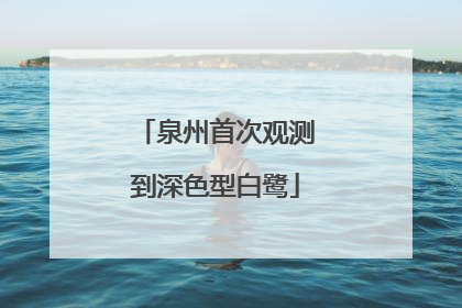 泉州首次观测到深色型白鹭