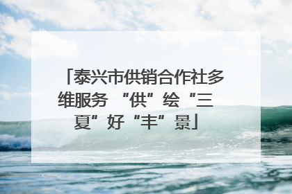 泰兴市供销合作社多维服务 “供”绘“三夏”好“丰”景