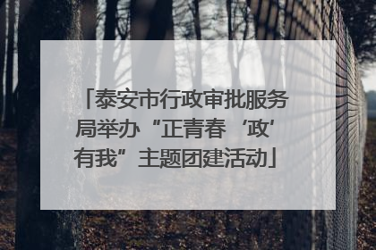 泰安市行政审批服务局举办“正青春‘政’有我”主题团建活动