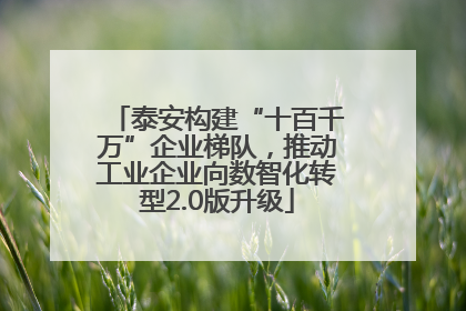 泰安构建“十百千万”企业梯队，推动工业企业向数智化转型2.0版升级