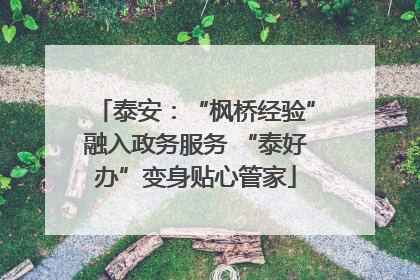 泰安：“枫桥经验”融入政务服务 “泰好办”变身贴心管家