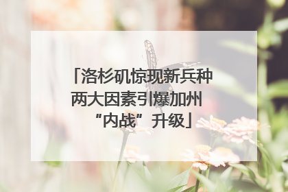 洛杉矶惊现新兵种 两大因素引爆加州“内战”升级