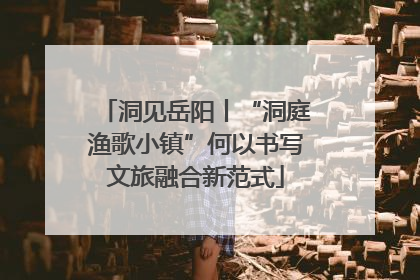 洞见岳阳丨“洞庭渔歌小镇”何以书写文旅融合新范式