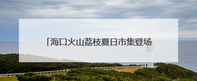 海口火山荔枝夏日市集登场 跨界融合注入消费新活力
