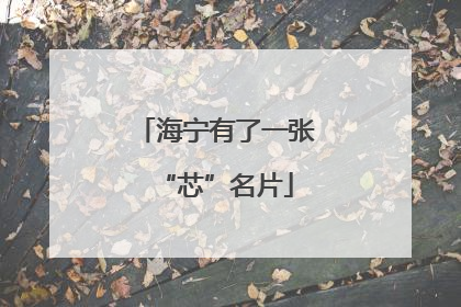 海宁有了一张“芯”名片