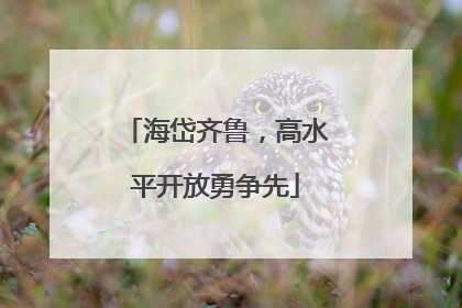 海岱齐鲁，高水平开放勇争先