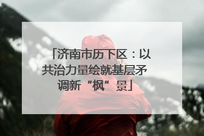 济南市历下区：以共治力量绘就基层矛调新“枫”景