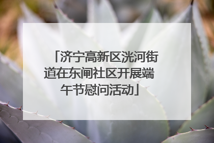 济宁高新区洸河街道在东闸社区开展端午节慰问活动