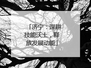 济宁：深耕技能沃土，释放发展动能