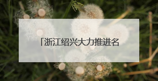 浙江绍兴大力推进名人文化资源立法工作