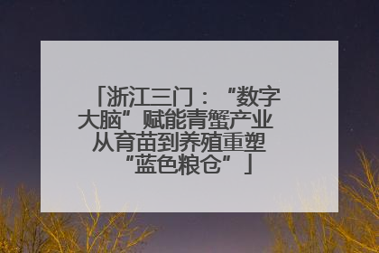 浙江三门：“数字大脑”赋能青蟹产业 从育苗到养殖重塑“蓝色粮仓”